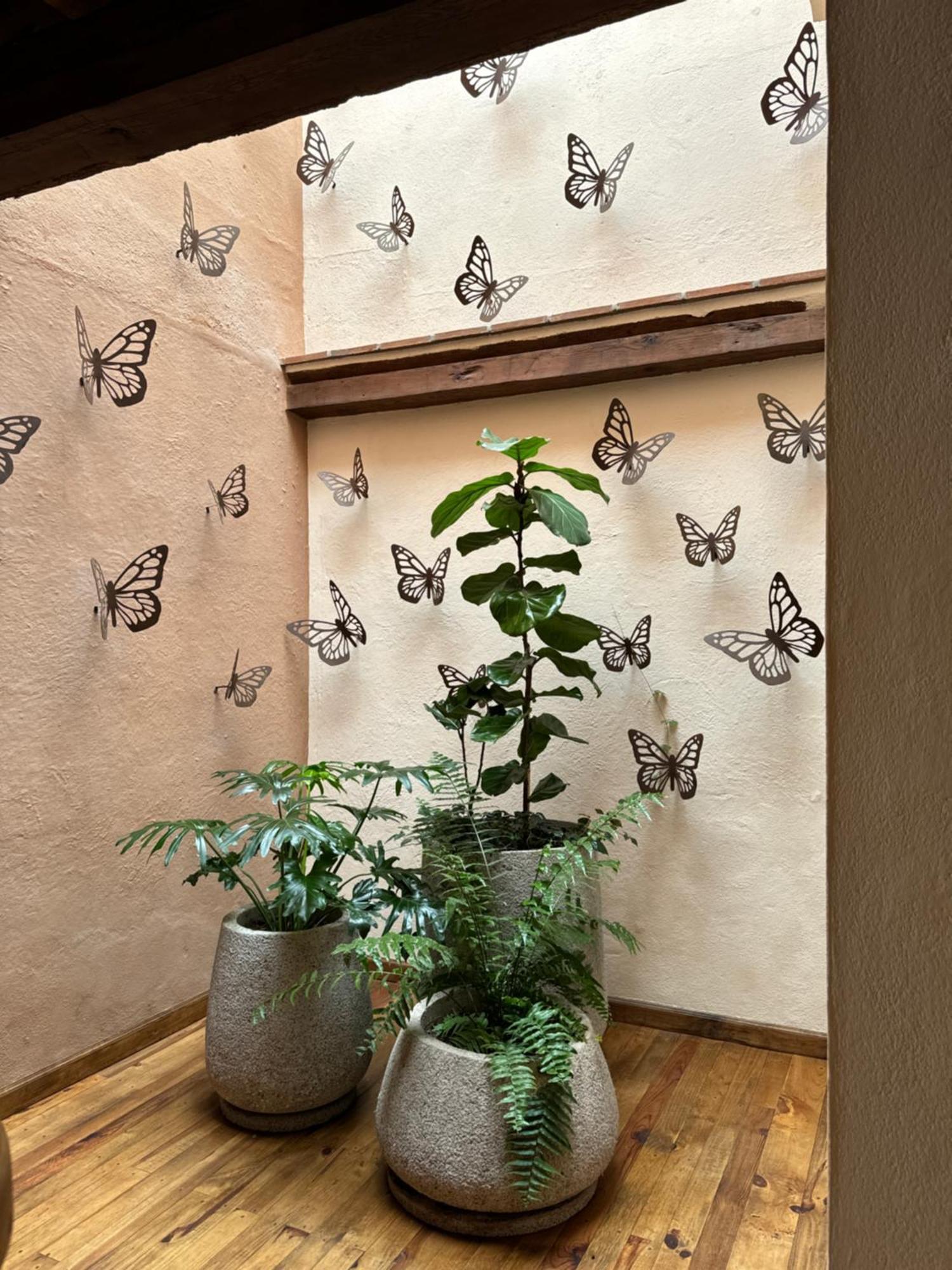Hotel Ibarra 14 パツクアロ エクステリア 写真